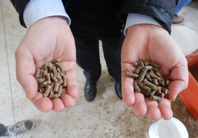 FIPER: Il pellet di Bacco conquista l’interesse della Valtellina 