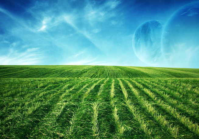 Free: due articoli non pertinenti nella bozza del decreto sull’efficienza energetica Free: due articoli non pertinenti nella bozza del decreto sull’efficienza energetica
