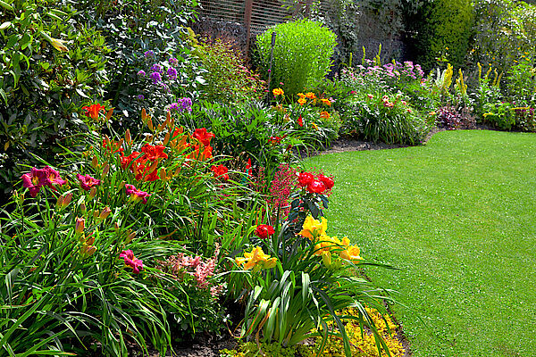 giardino con fiori