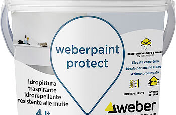Saint-Gobain Italia - weberpaint protect