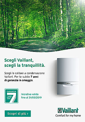 Vaillant