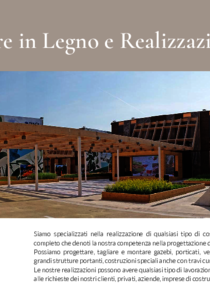 5._Strutture_in_Legno_e_Realizzazioni_Speciali.pdf