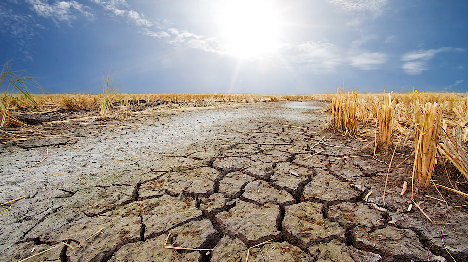 Piano Adattamento Climatico: cosa ne pensano gli ingegneri?