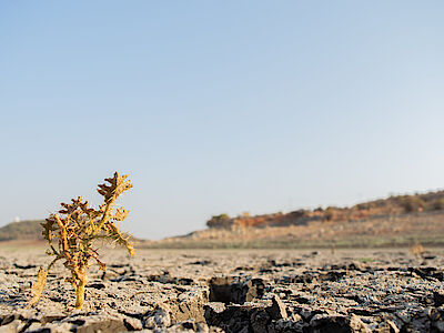 Cambiamenti climatici: i dati allarmanti degli ultimi 7 anni