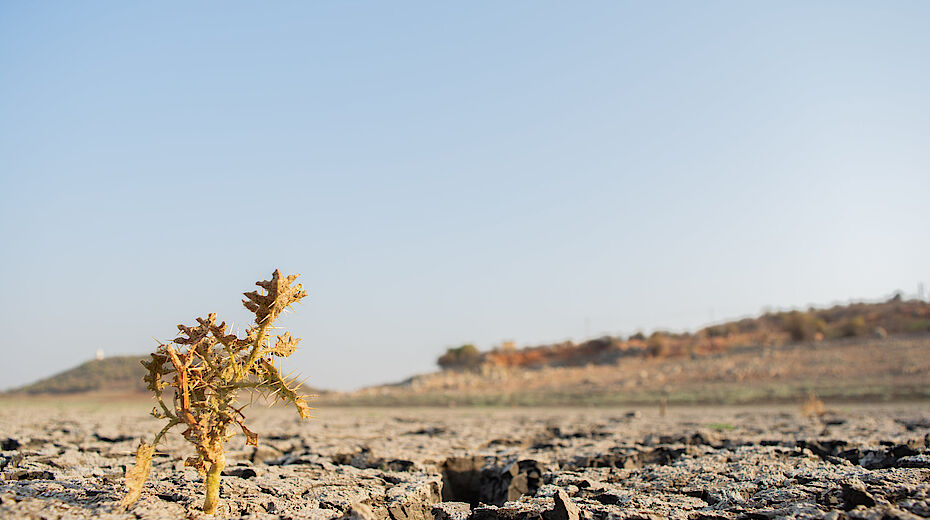 Cambiamenti climatici: i dati allarmanti degli ultimi 7 anni