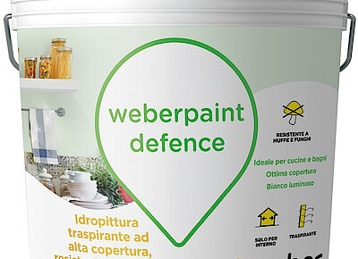 Saint-Gobain Italia - weberpaint defence