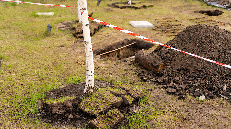 Riforestazione urbana: il piano per le città metropolitane