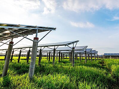 Fotovoltaico: come conciliarlo con l’agricoltura?