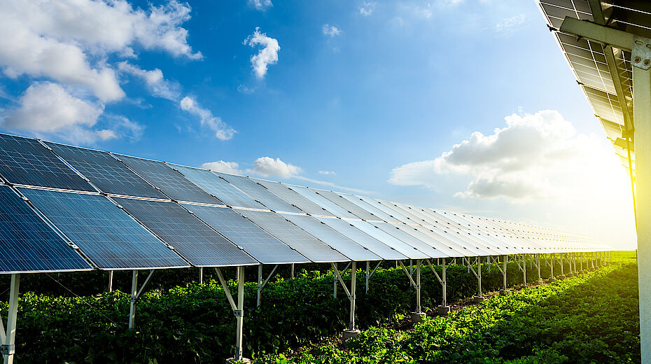 Agrivoltaico: firmato il nuovo decreto, ecco i dettagli