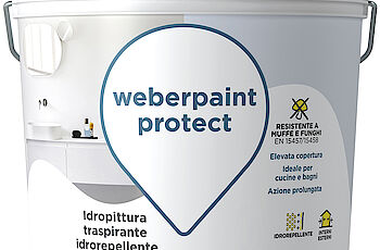 Saint-Gobain Italia - weberpaint protect