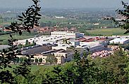 Casalgrande Padana Campione del Servizio 2023