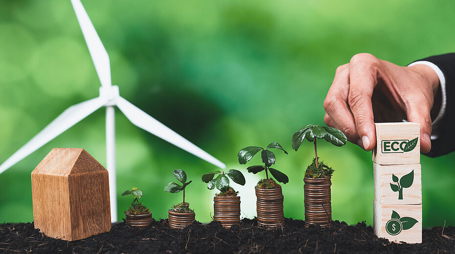 Decreto Ambiente: via libera al provvedimento. I dettagli