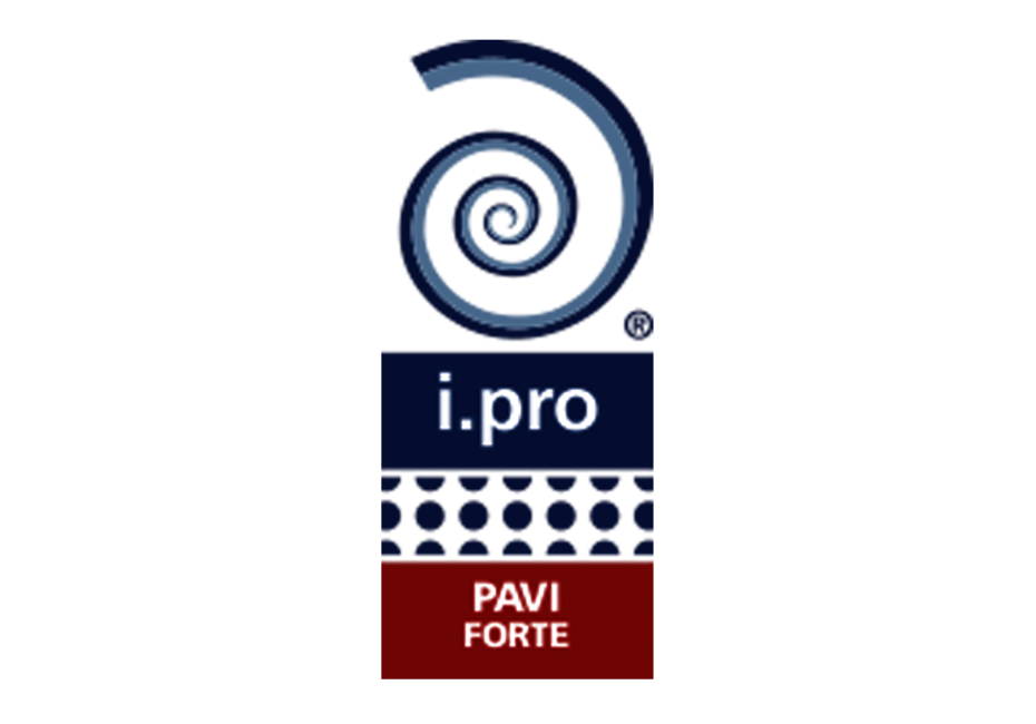 Italcementi - i.pro PAVI FORTE