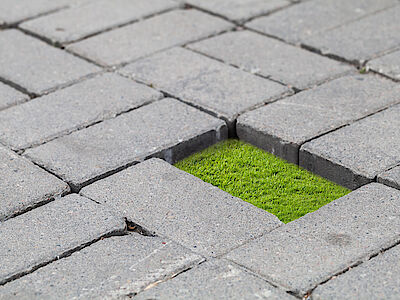 Urbanistica: sveliamo la quinta edizione di Urbanpromo Green
