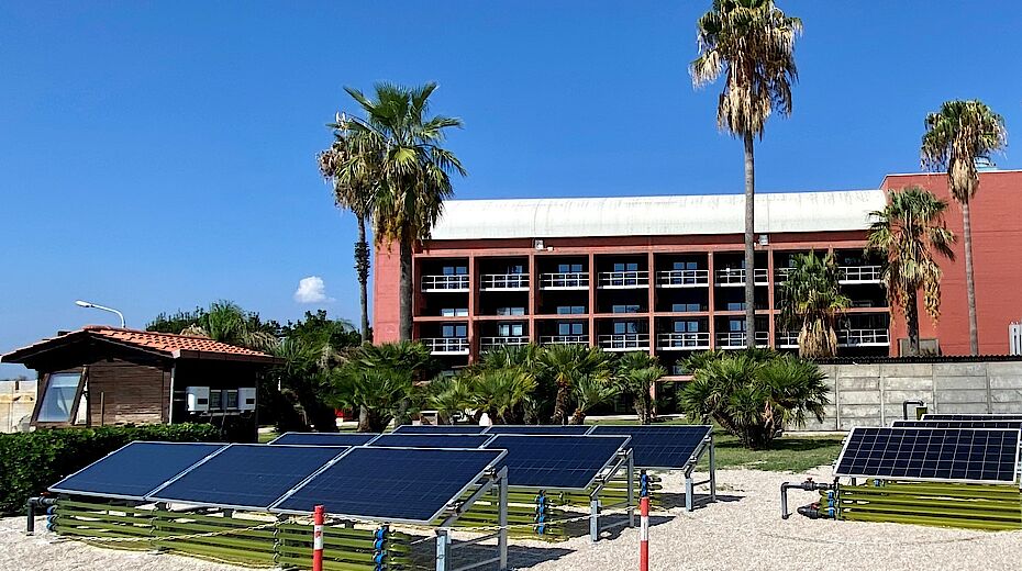 Algovoltaico: ecco la nuova frontiera del fotovoltaico