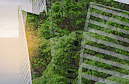 Nuovi C.A.M. Edilizia 2022: le soluzioni Xella per l'edilizia sostenibile