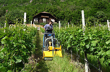 Geier - Trinciaerba a martello