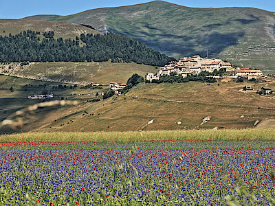 La ricostruzione innovativa di Castelluccio di Norcia