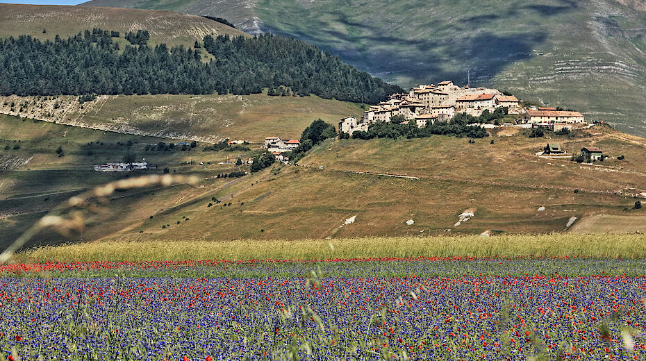 La ricostruzione innovativa di Castelluccio di Norcia