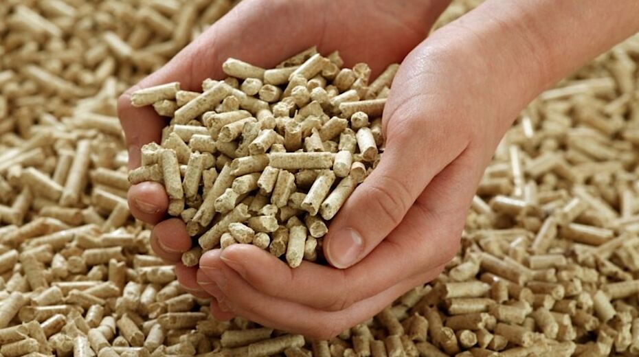 Economico e sostenibile: il riscaldamento a pellet