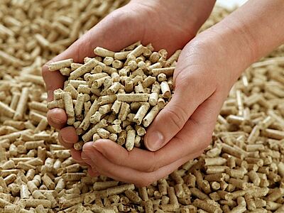 Economico e sostenibile: il riscaldamento a pellet