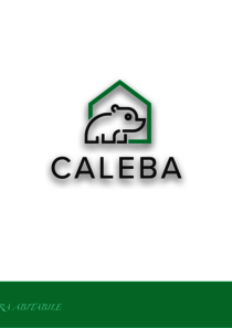 CAL94_GINEVRA.pdf