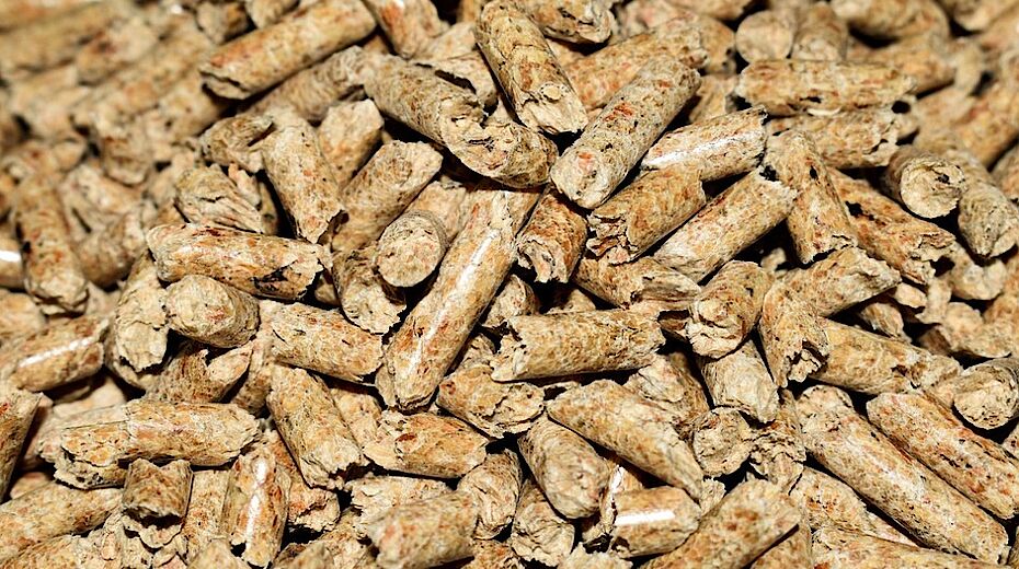 Pellet per uso alimentare: cos’è?