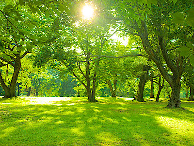 protezione dal sole