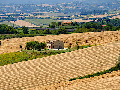 Immobiliare: come va il mercato della casa in campagna?