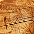 parquet legno massiccio