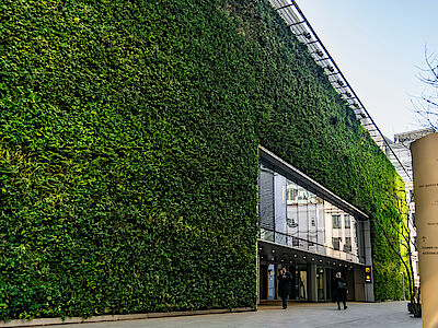 Ambiente: ecco CityTree, il pannello “mangia smog”