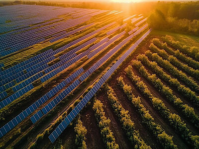 Agrivoltaico: andiamo a scoprire come sarà disciplinato