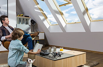 Fakro - Finestra per tetti a doppia apertura PreSelect2