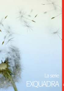allegati_0-1481792610.pdf